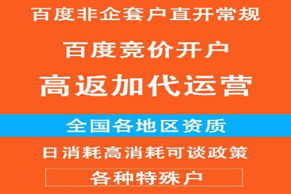 百度SEM竞价推广成功案例：某电商平台的营销奇迹