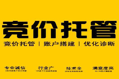 科技公司SEM优化师的日常与挑战——以某科技巨头为例